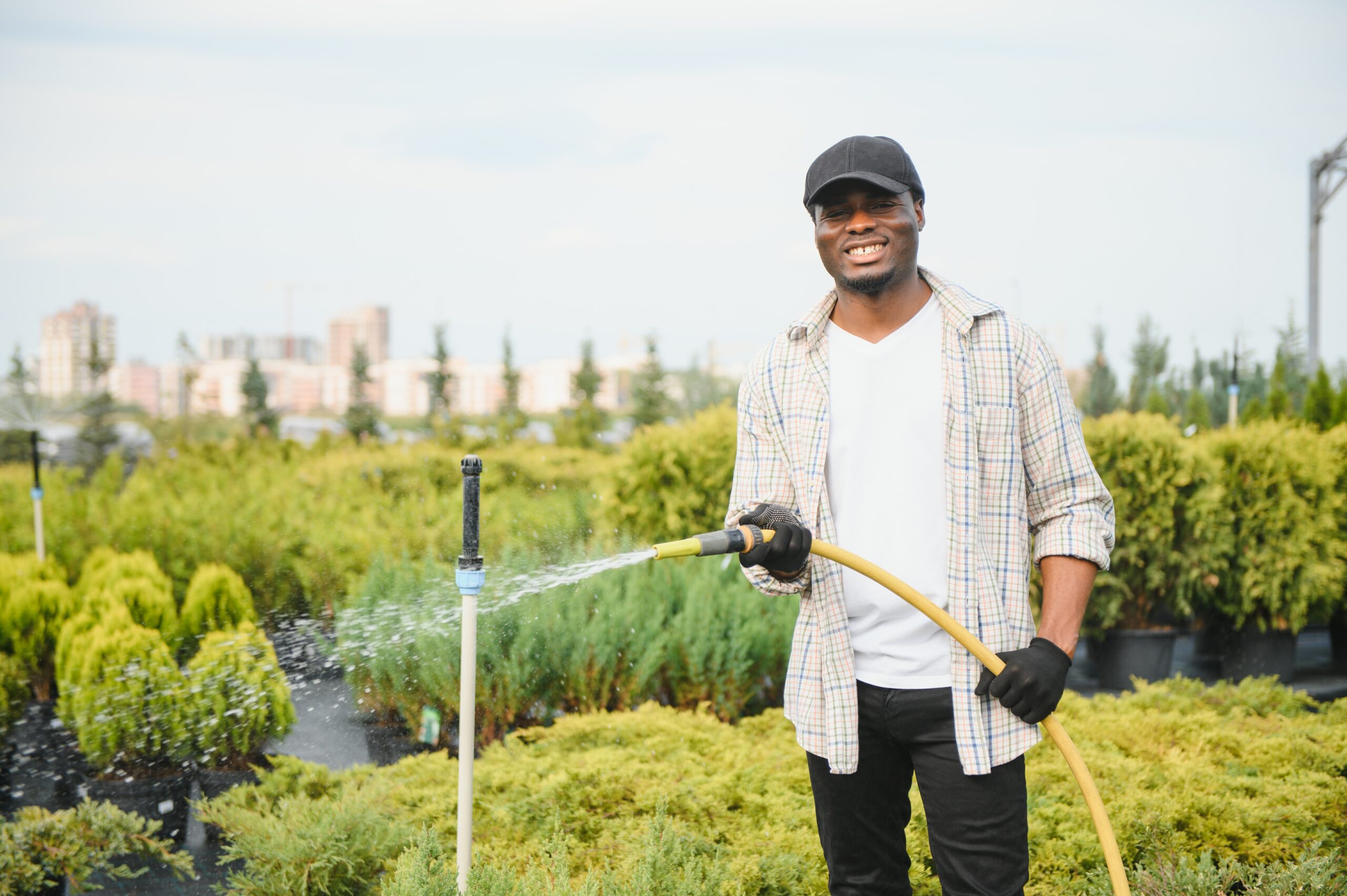 Young male gardener watering plants with a shower head and hose.